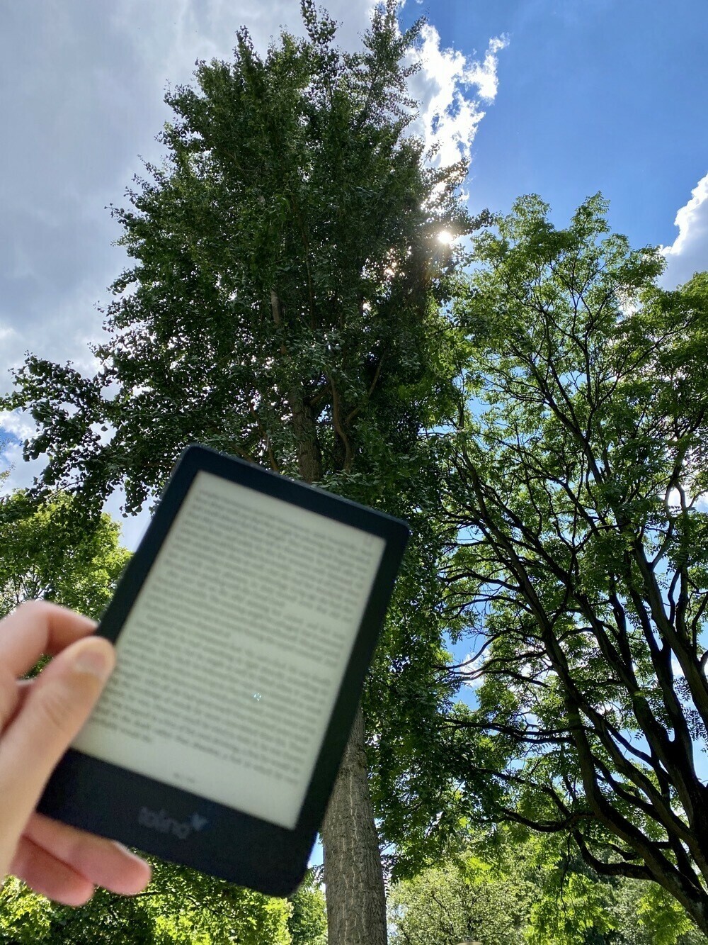 An E-reader with the sun behind the trees